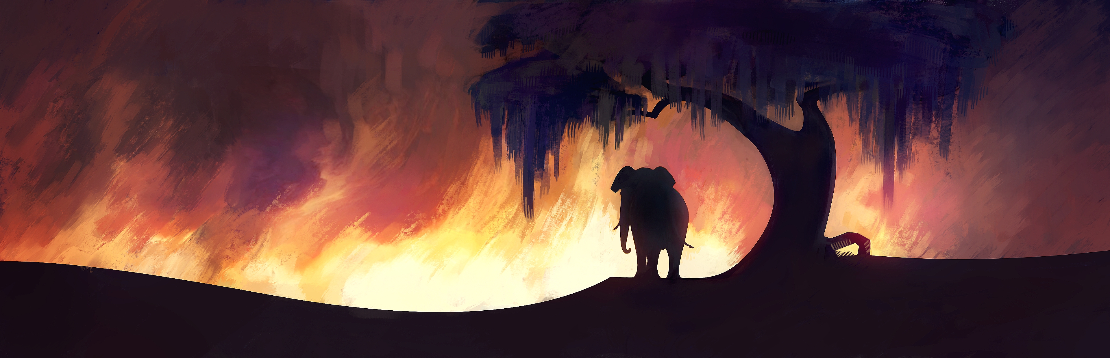 An elephant under a tree, silhouetted against a forest fire